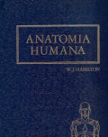 Anatomia humana