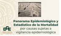 Image of Panorama epidemiológico y estadístico de la mortalidad por causas sujetas a vigilancia epidemiológica en México, 2021