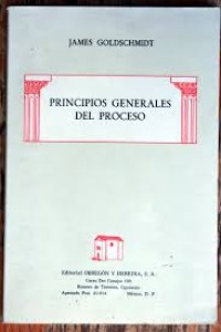 Image of Principios generales del proceso